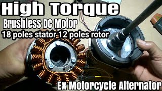 High Torque Brushless DC Motor [upl. by Pius]