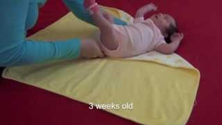 Swaddle Your Newborn Like a Pro [upl. by Beore]