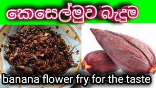 banana flower fryගමේ රසට කෙසෙල් මුව බැදුම keselmuwa baduma l banana blossom fry l onama kemak [upl. by Candi]