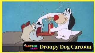 Droopy Dog Cartoon  Full Episodes  By Cartooland cartoon funny [upl. by Ecerehs]