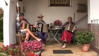 Hohe Tannen  Gesang im Trio  Handharmonika Musik [upl. by Proudman]