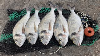 PESCA ALLORATA CON LA COZZA montatura per la canna bolognese [upl. by Mahgem560]