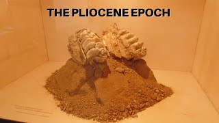 The Pliocene Epoch [upl. by Nolek]