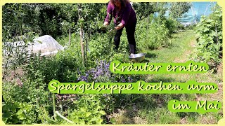 Gartenarbeit Mai Juni  Kräuter ernten  Verarbeiten  Spargelsuppe uvm [upl. by Nuri822]