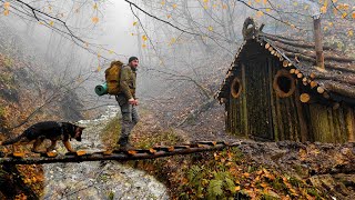 Wilderness Survival Building a Log Cabin and Bridge in the Misty Forest  Surviving and Thriving [upl. by Sissel]