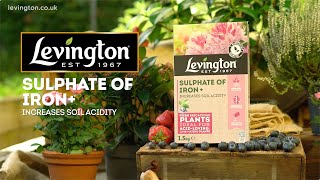 How to use Levington Sulphate of Iron for ericaceous plants [upl. by Wimsatt327]