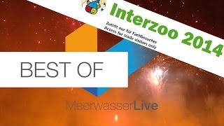 BEST OF  Interzoo 2014  aufTour  Meerwasser Live TV  Saltwater Live TV [upl. by Barsky]