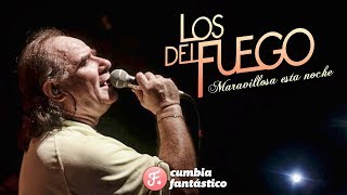 Los del Fuego  Maravillosa esta noche │ Cd Por Siempre 2019 [upl. by Nedra]