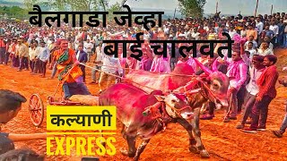 Lengre yatra 2022 बैलगाडा शिवाळbelgadasharyat kalyanitai kalyaniexpresspradhan बैलगाडाशर्यत [upl. by Emma700]