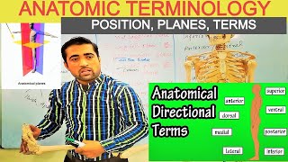 Anatomic Terminology Anatomical Position Anatomical Planes And Directional Terms By Dr Shahid Alam [upl. by Dusza797]