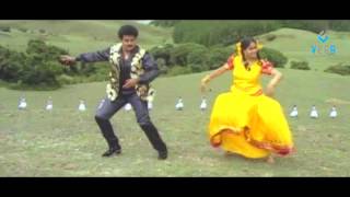 Muthyala Pandirilo Muripala Sandhadilo Video Song  Muddula Menalludu [upl. by Poole]