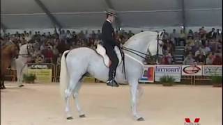 CAMPEONATO DE ANDALUCIA DE ALTA ESCUELA [upl. by Nahsrad833]