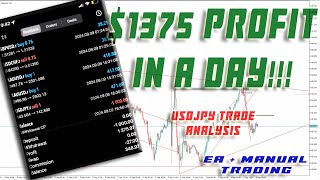 1375 Profit In A Day  Robot Trading  Manual Trading  USDJPY Trade ANALYSIS  Best EXPERT ADVISOR [upl. by Valle]