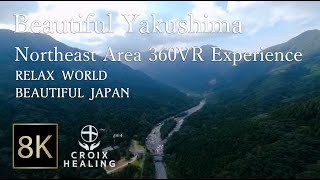 【Beautiful Yakushima Island】Northeast Area 360VR Experience Soothing Moments BGM amp BGV [upl. by Inafets]