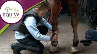 Reiten lernen  Anna und Toni in der Reitschule [upl. by Krystle]