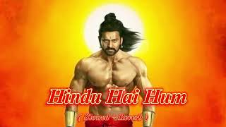 Hindu Hai Hum  Jai shree Ram  Hastag pandit  slowed Reverb  lofimusic 560  lofi [upl. by Ayotal]