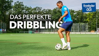 Die wichtigsten Tipps für das Dribbling 🚀 feat camillhauser [upl. by Leuamme]