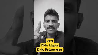 Restriction endonuclease DNA Ligase and DNA Polymerase enzymes uses [upl. by Ikcaj21]