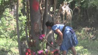 La virgen De Guadalupe Se Apareció En Un Árbol entre El Salvador y Guatemala [upl. by Aisad76]