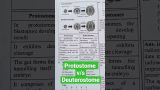 Protostome and Deuterostome [upl. by Beffrey]