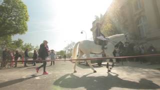 Le Saut Hermès au Grand Palais 2017 [upl. by Avihs]