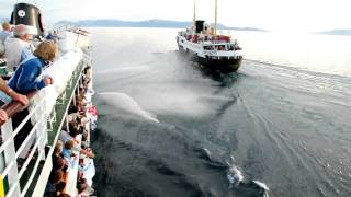 MS Lofoten meets MS Nordstjernen in Lyngen [upl. by Natan]