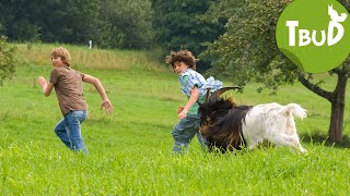 Bocksprünge Folge 7  Tiere bis unters Dach  SWR Plus [upl. by Konstantine]