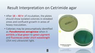 Pseudosel Cetrimide agar [upl. by Nelad]