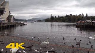 BownessonWindermere Walk Largest Lake in England  Lake District【4K】 [upl. by Teddman]