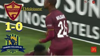 Stellenbosch FC 10 Marumo Gallants FC  Betway Premiership  All Goals  Highlights [upl. by Nesnej232]