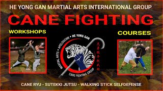 Cane Fighting  Cane Selfdefense  Cane Martial Arts  Wandelstok Zelfverdediging [upl. by Dachi]