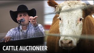 Life of an Idaho Cattle Auctioneer  VOA Connect [upl. by Kylen413]