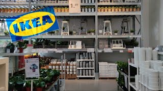 Ikea🪴🌿dużo roślin 🙂🌿🌿 [upl. by Idnym248]