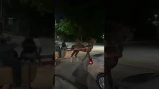 En Sonora aún se usa transportarse en carretas jaladas por caballos o burros como esta en Navojoa [upl. by Adnwahsar95]