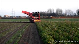 Grimme Varitron 270 Wortels rooien 2013 [upl. by Shirline]