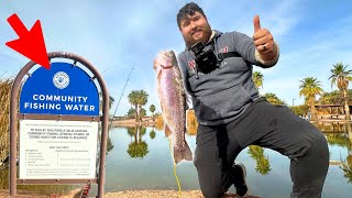 The Ultimate Guide to Catching Stocked Trout in Urban AZ [upl. by Edrea]