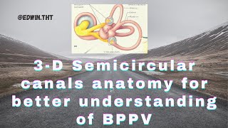 3D Semicircular canals anatomy for better understanding of BPPVs pathophysiology [upl. by Stillas]