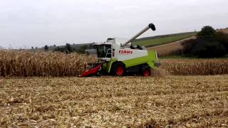 Agri AdamskiGutanów CLAAS LEXION 470  GERINGHOFF HORIZON STAR [upl. by Filipe]