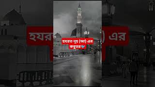 হযরত নূহ আ এর কবুতর🐦 islamicstatus pigeon islamicquotes islamicvideo [upl. by Airamahs]