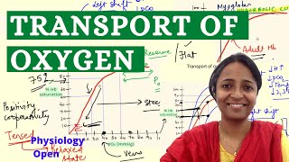 Oxygen transport Oxygen dissociation curve Bohr effect Respiratory syste physiology mbbs 1st year [upl. by Lj793]