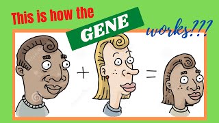 Heredity Inheritance and Variation Grade 9 Genetic Terms [upl. by Lecram]