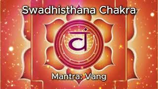 Mantra Vang Swadhisthana Chakra Chackra Sacro [upl. by Garbers]