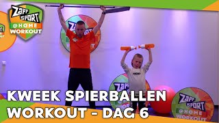 DAG 6  ZAPPSPORTHOME WORKOUT MET NATHAN RUTJES  ZAPPSPORT [upl. by Gabriel756]