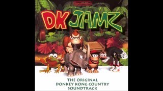 DK Island Swing DK Jamz [upl. by Bron719]