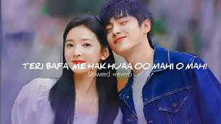 TERI BAFA ME HAK HUAA💜💖  LOVE LOFI SONG  NEW LOFI lofi lofimusic slowed [upl. by Lissy220]