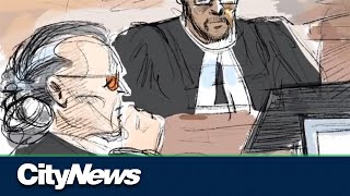 Peter Nygard takes the stand at his trial for sexual assault [upl. by Avirt304]