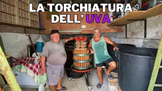 Come TORCHIAMO l’UVA e facciamo il PRIMO TRAVASO [upl. by Haletky665]