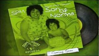 Son of Norma Preview by South Park Mexican [upl. by Cerf]