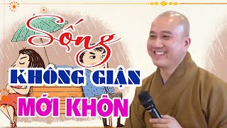 Sống Không Giận Hờn Mới Khôn  Pháp Thoại Thầy Thích Pháp Hòa [upl. by Reisfield]