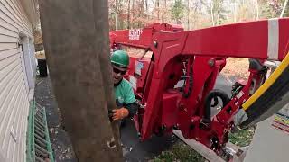 Spider lift set up for tree removal [upl. by Spence]